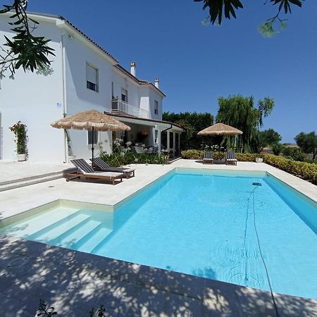 Tenuta Viale Degli Ulivi San Martino in Pensilis Екстериор снимка