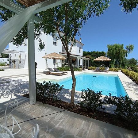 Tenuta Viale Degli Ulivi San Martino in Pensilis Екстериор снимка