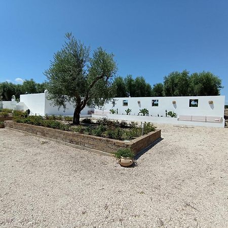 Tenuta Viale Degli Ulivi San Martino in Pensilis Екстериор снимка