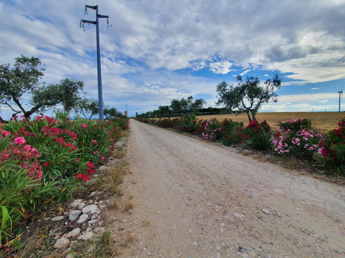 Tenuta Viale Degli Ulivi San Martino in Pensilis Екстериор снимка
