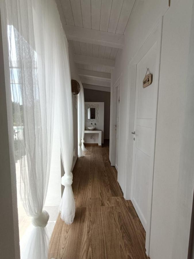 Tenuta Viale Degli Ulivi San Martino in Pensilis Екстериор снимка