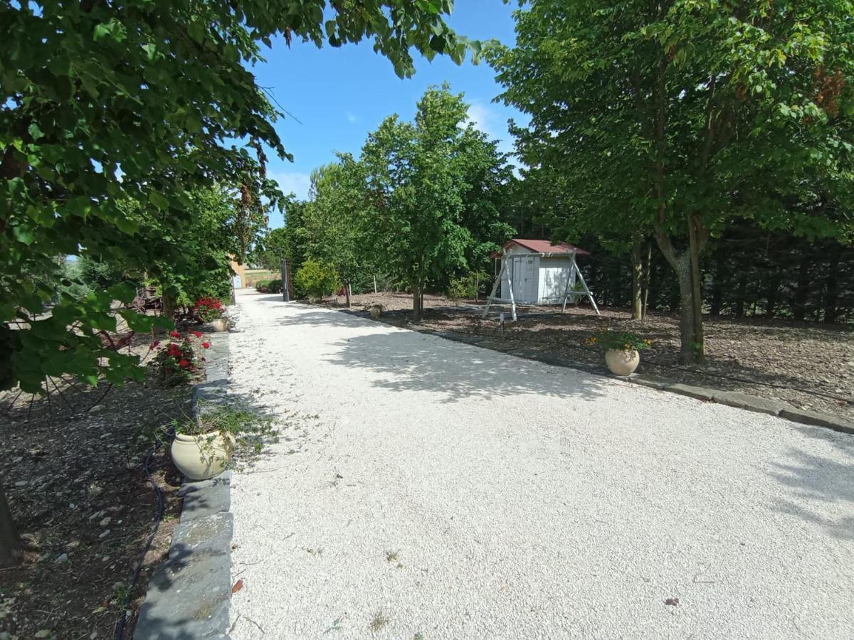 Tenuta Viale Degli Ulivi San Martino in Pensilis Екстериор снимка