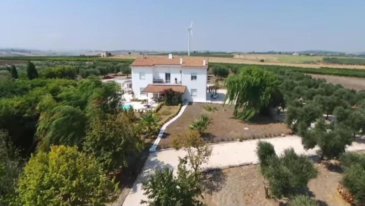 Tenuta Viale Degli Ulivi San Martino in Pensilis Екстериор снимка