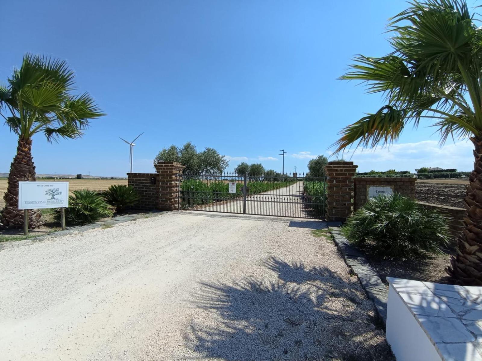 Tenuta Viale Degli Ulivi San Martino in Pensilis Екстериор снимка