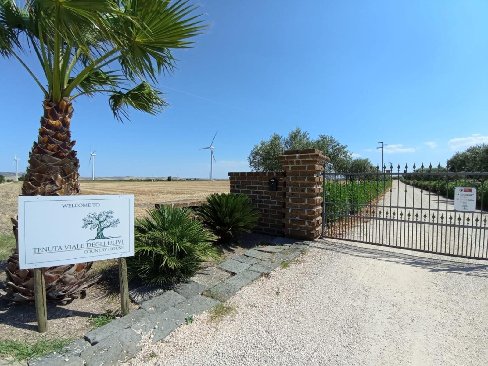 Tenuta Viale Degli Ulivi San Martino in Pensilis Екстериор снимка
