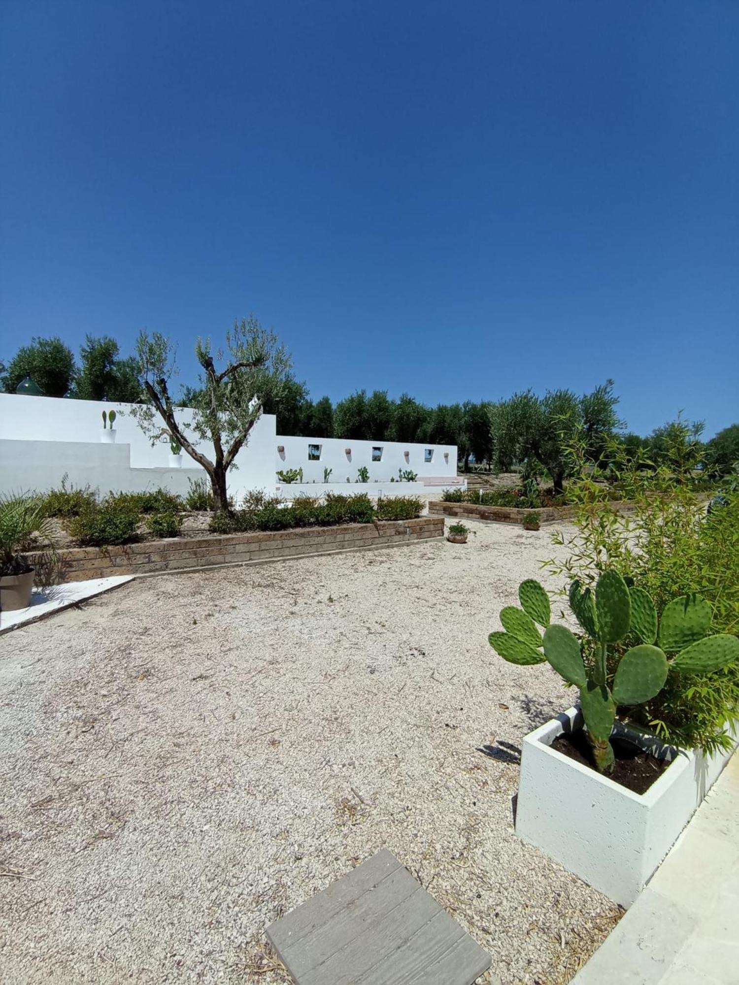 Tenuta Viale Degli Ulivi San Martino in Pensilis Екстериор снимка