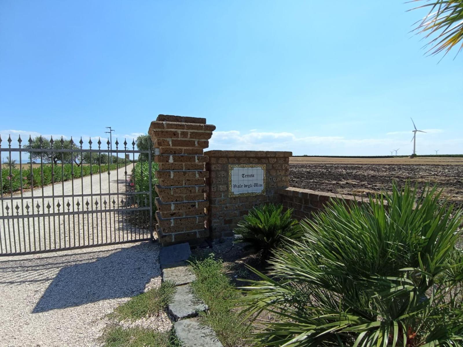 Tenuta Viale Degli Ulivi San Martino in Pensilis Екстериор снимка