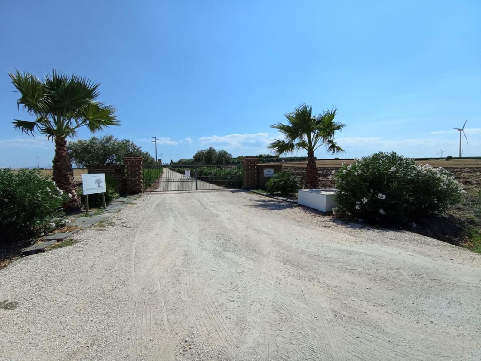 Tenuta Viale Degli Ulivi San Martino in Pensilis Екстериор снимка